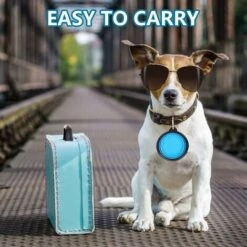 Ciotola Per Cani Pieghevole, Ciotola Per Cani Da Viaggio, Ciotola Per Cani Portatile, Ciotola Per Gatti Pieghevole, 2 Pezzi Ciotole Da Viaggio Per Cani E Gatti Ciotole Da Viaggio Per Cani In Silicone -Cibi per cani in Italia 66559585 4