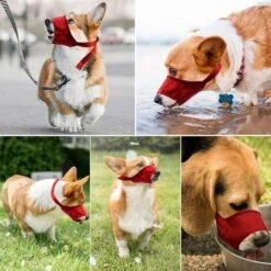 7 Pezzi (varie Dimensioni) Museruole Per Mordere, Masticare, Mordere, Copri Bocca Regolabile Per Cani Di Piccola, Media E Grande Taglia, Museruola Morbida E Confortevole Per Muso Lungo - Rosso -Cibi per cani in Italia 66562908 5