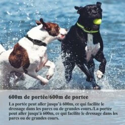 Collare Da Addestramento Per Cani Ricaricabile, Resistente All'acqua Al 100% Con Blocco Di Sicurezza. Suono, Vibrazione, Display LCD Retroilluminato E Portata Fino A 600 M. -Cibi per cani in Italia 66734733 3