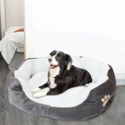 Cuscino Per Cuccia Per Cani Di Piccola Taglia 60 X 50 Cm In Colore Nero FUIENKO -Cibi per cani in Italia 67327244 2