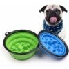 LTS FAFA Set Di 2 Ciotole Per Cani Anti-imbracatura Diametro 17,5 Cm Ciotola Per Cani Interattiva In Silicone Pieghevole Ciotola Per Alimenti Non Tossici E Sani (blu, Verde) 2 LTS FAFA Set Di 2 Ciotole Per Cani Anti-imbracatura Diametro 17,5 Cm Ciotola Per Cani Interattiva In Silicone Pieghevole Ciotola Per Alimenti Non Tossici E Sani (blu, Verde) -Cibi per cani in Italia 67411353 1