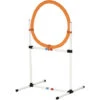 PawHut Set Agility Dog Portatile Con Anello E Sbarra, Multiuso E Salvaspazio, Con Borsa Da Trasporto Inclusa, 74.5x66x91cm, Bianco E Arancione 1 PawHut Set Agility Dog Portatile Con Anello E Sbarra, Multiuso E Salvaspazio, Con Borsa Da Trasporto Inclusa, 74.5x66x91cm, Bianco E Arancione -Cibi per cani in Italia 67464504 1