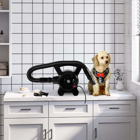 PawHut Soffiatore Per Cani Con Velocità E Temperatura Regolabili, Tubo Flessibile E 3 Beccucci, 2400W, Nero 4 PawHut Soffiatore Per Cani Con Velocità E Temperatura Regolabili, Tubo Flessibile E 3 Beccucci, 2400W, Nero - immagine 2