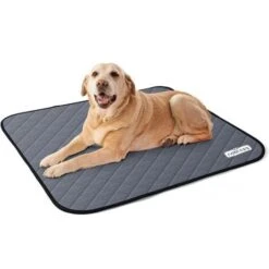 TAPPETINO ASSORBENTI PER CANI LAVABILE URINE PAD IGIENICI PER ANIMALI DOMESTICI RIUTILIZZABILE 81 X 72CM