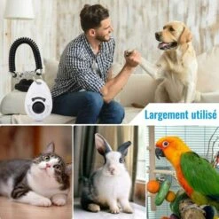 GroupM Blu*1, Bianco*1 Pet Trainer Clicker Ovale Pet Bark Stopper Pet Supplies -Cibi per cani in Italia 69489953 3