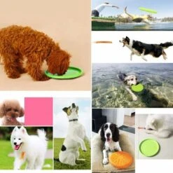 Frisbee Per Cani, Frisbee Per Cani, 2 Pezzi Frisbee Giocattoli Per Cani Per Esercizi All'Aperto E Giochi Per Cani Di Piccola E Media Taglia VerdeArancione -Cibi per cani in Italia 69714614 5