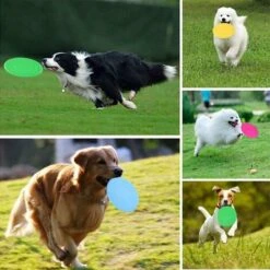 Disco Volante Per Cani 6 Pezzi Giocattolo Interattivo Per Frisbee Per Piccoli Giocattoli Di Addestramento Resistenti E Forti Frisbee In Silicone Per Cani Colori Del Disco -Cibi per cani in Italia 69714902 5