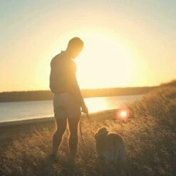Guinzaglio Per Cani, Guinzaglio Per Cani In Corda Con Impugnatura Morbida Imbottita, Fili Altamente Riflettenti, Sacchetti Per Rifiuti E Dispenser Per Cani, Guinzaglio In Corda Da 1,5 M Per Cani Di Tu -Cibi per cani in Italia 69715403 4