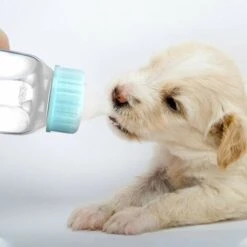 Biberon Per Allattamento Da 120 Ml Per Cuccioli, Animali Domestici, Viaggi, Cani Di Piccola Taglia, Gatti, Cuccioli, Con Capezzolo Di Ricambio (verde) -Cibi per cani in Italia 69716920 2