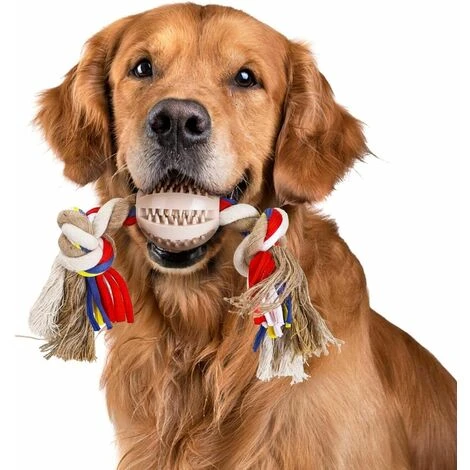 CORDA GIOCATTOLO PER CANI IN 100% COTONE, SALUTE MENTALE DEL CANE SALUTE DENTALE E PULIZIA DEI DENTI 32CM 3 CORDA GIOCATTOLO PER CANI IN 100% COTONE, SALUTE MENTALE DEL CANE SALUTE DENTALE E PULIZIA DEI DENTI 32CM