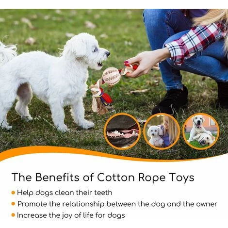 CORDA GIOCATTOLO PER CANI IN 100% COTONE, SALUTE MENTALE DEL CANE SALUTE DENTALE E PULIZIA DEI DENTI 32CM 4 CORDA GIOCATTOLO PER CANI IN 100% COTONE, SALUTE MENTALE DEL CANE SALUTE DENTALE E PULIZIA DEI DENTI 32CM - immagine 2
