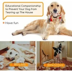 CORDA GIOCATTOLO PER CANI IN 100% COTONE, SALUTE MENTALE DEL CANE SALUTE DENTALE E PULIZIA DEI DENTI 32CM 9 CORDA GIOCATTOLO PER CANI IN 100% COTONE, SALUTE MENTALE DEL CANE SALUTE DENTALE E PULIZIA DEI DENTI 32CM -Cibi per cani in Italia 69831517 3