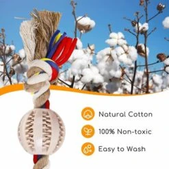 CORDA GIOCATTOLO PER CANI IN 100% COTONE, SALUTE MENTALE DEL CANE SALUTE DENTALE E PULIZIA DEI DENTI 32CM 10 CORDA GIOCATTOLO PER CANI IN 100% COTONE, SALUTE MENTALE DEL CANE SALUTE DENTALE E PULIZIA DEI DENTI 32CM -Cibi per cani in Italia 69831517 4
