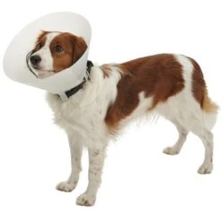 Kruuse Elizabethan Necklace Opaque Buster Classic, 12,5 Cm Cani Da 5 A 10 Kg, 1 Ud