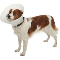 Kruuse Elizabethan Necklace Opaque Buster Classic, Da 20 Cm Da 15 A 25 Kg, 1 UD