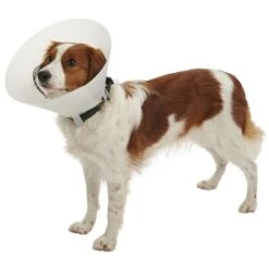 Kruuse Elizabethan Necklace Opaque Buster Classic, Da 25 Cm Cani Da 25 A 30 Kg, 1 UD