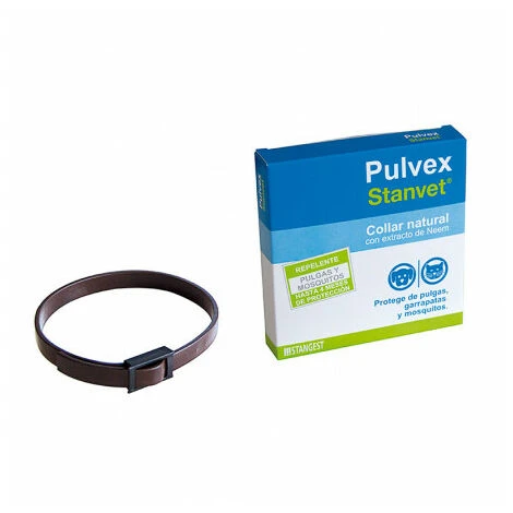 Collana Antiparassita Polvessa Più Stangessa Per Cani E Gatti 3 Collana Antiparassita Polvessa Più Stangessa Per Cani E Gatti