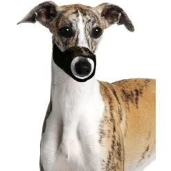 Karlie K&F Bozal De Nylon - XS L: 15 Cm AN: 39-51 Cm