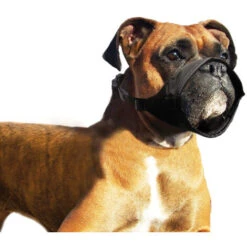 Karlie K & F Bozal De Nylon - Special L: 32 Cm AN: 51-71 CM