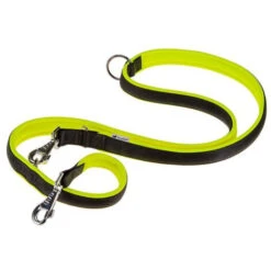 Kong Cat Purrstalità Sassy