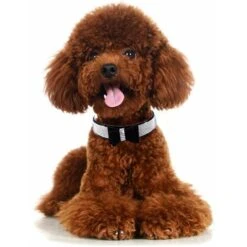 Collare E Guinzaglio Per Animali Domestici Con Colletto E Guinzaglio In Morbida Pelle Scamosciata Scintillante - Nero - S -Cibi per cani in Italia 70835577 4