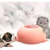 Ciucci Mangiatoia In Silicone Per Gattini - Mangiatoia In Morbido Latte Per Cuccioli Mangiatoia Per Cuccioli In Silicone -Cibi per cani in Italia 71079456 1