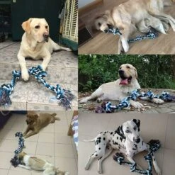 Giocattoli Per Cani Con Corda Per Masticatori Aggressivi Giocattoli Da Masticare Con Corda Dura Per Cani Di Taglia Grande E Media -Cibi per cani in Italia 71080405 4