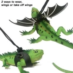 Guinzaglio Regolabile In Pelle Di Drago Barbuto (s/m/l 3 Pettorine) Con Ali Fresche Per Rettili Anfibi -Cibi per cani in Italia 71080751 4