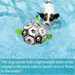 Palla Giocattolo Per Cani, Giocattoli Per Cani Palla Giocattolo Da Calcio Per Cani Con Linguette, Giocattolo Interattivo/gioco Acquatico Per Cani Con Pompa A Sfera E Ago -Cibi per cani in Italia 71145283 3