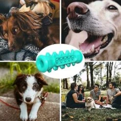 Giocattoli Da Masticare Per Cani Massaggiagengive Per Cani Di Taglia Piccola E Media Spazzolino Da Denti Per La Cura Dei Denti 1pc -Cibi per cani in Italia 71370640 3