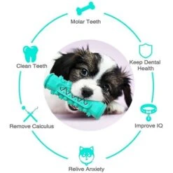 Giocattoli Da Masticare Per Cani Massaggiagengive Per Cani Di Taglia Piccola E Media Spazzolino Da Denti Per La Cura Dei Denti 1pc -Cibi per cani in Italia 71370640 4