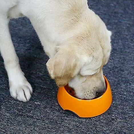 Ciotola Per Cani E Gatti Golosi, Ciotola Antiscivolo Che Favorisce Un'assunzione Di Cibo Più Lenta, Ciotola Interattiva In Melamina Anti-gonfiamento Arancione 5 Ciotola Per Cani E Gatti Golosi, Ciotola Antiscivolo Che Favorisce Un'assunzione Di Cibo Più Lenta, Ciotola Interattiva In Melamina Anti-gonfiamento Arancione - immagine 3