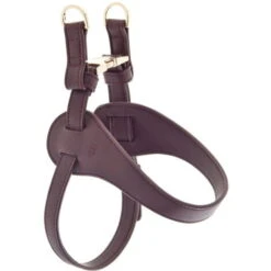 Ferribiella Pettorina Regolabile In PU Modello Mokka Con Dettagli In Pelle Sintetica: 33 - 51 Cm X 27 Cm - Tartan 11 Ferribiella Pettorina Regolabile In PU Modello Mokka Con Dettagli In Pelle Sintetica: 33 - 51 Cm X 27 Cm - Tartan -Cibi per cani in Italia 71656256 5