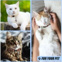 6 Pezzi Campanelli Per Animali Domestici Per Collari Campanelli Per Cani Ad Alto Volume Portachiavi Collare Per Cani Ciondolo Per Cani Tripla Campana Ciondolo Per Collare Cane Gatto Collare Decor (Arg -Cibi per cani in Italia 71884737 3