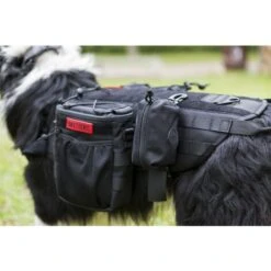 Dispenser Per Sacchetti Per Cacca Per Cani Supporto Per Sacchetti Per Cacca Per Animali Domestici - Si Adatta A Qualsiasi Guinzaglio Per Cani (nero) IMBALLAGGIO RIUTILIZZABILE 8 Dispenser Per Sacchetti Per Cacca Per Cani Supporto Per Sacchetti Per Cacca Per Animali Domestici - Si Adatta A Qualsiasi Guinzaglio Per Cani (nero) IMBALLAGGIO RIUTILIZZABILE -Cibi per cani in Italia 71885009 2