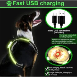 Randaco Imbracatura Per Cani A LED Imbracatura Pettorale Modalità Di Illuminazione A LED Luminosa Ricaricabile M 11 Randaco Imbracatura Per Cani A LED Imbracatura Pettorale Modalità Di Illuminazione A LED Luminosa Ricaricabile M -Cibi per cani in Italia 71969322 5