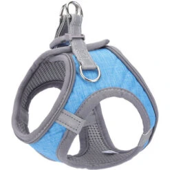 Pettorina Per Cuccioli, Pettorina Morbida E Guinzaglio Con Collare Catarifrangente Per Cani Di Piccola E Media Taglia