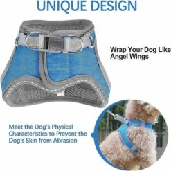 Pettorina Per Cuccioli, Pettorina Morbida E Guinzaglio Con Collare Catarifrangente Per Cani Di Piccola E Media Taglia -Cibi per cani in Italia 73334422 3