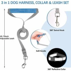 Pettorina Per Cuccioli, Pettorina Morbida E Guinzaglio Con Collare Catarifrangente Per Cani Di Piccola E Media Taglia -Cibi per cani in Italia 73334422 4