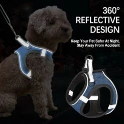 Pettorina Per Cuccioli, Pettorina Morbida E Guinzaglio Con Collare Catarifrangente Per Cani Di Piccola E Media Taglia -Cibi per cani in Italia 73334422 5