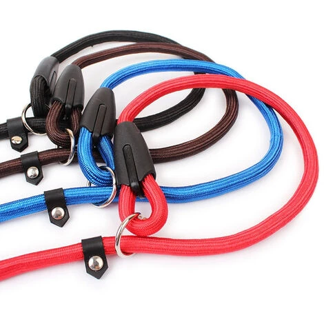 150 Cm Pet Dogs Nylon Rope Training P Guinzaglio Slip Guinzaglio Collare Di Trazione Regolabile Per Cani Di Piccola Taglia 4 150 Cm Pet Dogs Nylon Rope Training P Guinzaglio Slip Guinzaglio Collare Di Trazione Regolabile Per Cani Di Piccola Taglia - immagine 2