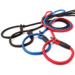 150 Cm Pet Dogs Nylon Rope Training P Guinzaglio Slip Guinzaglio Collare Di Trazione Regolabile Per Cani Di Piccola Taglia 8 150 Cm Pet Dogs Nylon Rope Training P Guinzaglio Slip Guinzaglio Collare Di Trazione Regolabile Per Cani Di Piccola Taglia -Cibi per cani in Italia 74762614 3