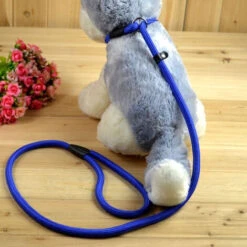 150 Cm Pet Dogs Nylon Rope Training P Guinzaglio Slip Guinzaglio Collare Di Trazione Regolabile Per Cani Di Piccola Taglia 9 150 Cm Pet Dogs Nylon Rope Training P Guinzaglio Slip Guinzaglio Collare Di Trazione Regolabile Per Cani Di Piccola Taglia -Cibi per cani in Italia 74762614 4