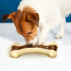 Giocattoli Da Masticare Per Cani Per Masticatori Aggressivi, Confezione Da 2 Ossa Di CaneGiocattoli Per La Dentizione Del Cane Dal Sapore Indistruttibile Per Razze Di Cuccioli Di Taglia Grande/media/p -Cibi per cani in Italia 74926031 5