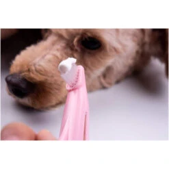 Spazzolino Denti Da Dito Per Cane Set 2Pz Rimozione Placca Igiene Pulizia Orale -Cibi per cani in Italia 75169397 5