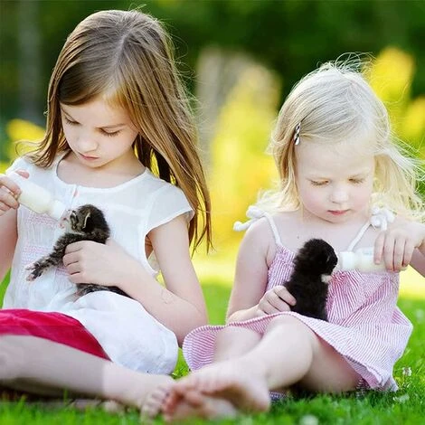 6 Pezzi Bottiglia Di Latte Per Cuccioli, Kit Biberon Biberon Per Cuccioli, Biberon Per Allattamento Gatti, Per Piccoli Mammiferi, Gattini Appena Nati, Cuccioli E Conigli (50ML) 5 6 Pezzi Bottiglia Di Latte Per Cuccioli, Kit Biberon Biberon Per Cuccioli, Biberon Per Allattamento Gatti, Per Piccoli Mammiferi, Gattini Appena Nati, Cuccioli E Conigli (50ML) - immagine 3