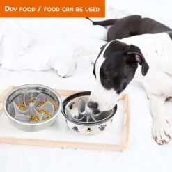 Ciotola Per L'alimentazione Lenta, Accessori Per Ciotole Per Cani Anti-ghiottone Ciotole Per Cani Promuovono Un'alimentazione Sana E Una Digestione Lenta, Dimensioni Tagliabili, Protette Da 19 Piccole -Cibi per cani in Italia 75982781 5