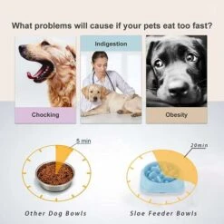 Ciotola Anti-ghiottone Per Cani E Gatti, Ciotola Per Mangime Goloso Lento, Ciotola Per Cani Anti-ghiottone, Promuove Un'alimentazione Sana E Una Digestione Lenta (20,2x4,5 Cm) -Cibi per cani in Italia 75982786 4