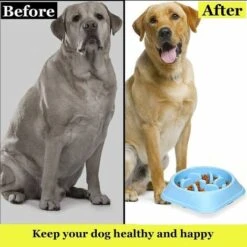 Ciotola Anti-ghiottone Per Cani E Gatti, Ciotola Per Mangime Goloso Lento, Ciotola Per Cani Anti-ghiottone, Promuove Un'alimentazione Sana E Una Digestione Lenta (20,2x4,5 Cm) -Cibi per cani in Italia 75982786 5