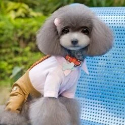 Medagliette Per Cani, Medagliette Per Cani, Medagliette Per Sculture Fai-da-te Per Cani E Gatti, Medagliette Personalizzate In Acciaio Inossidabile -Cibi per cani in Italia 75983284 3